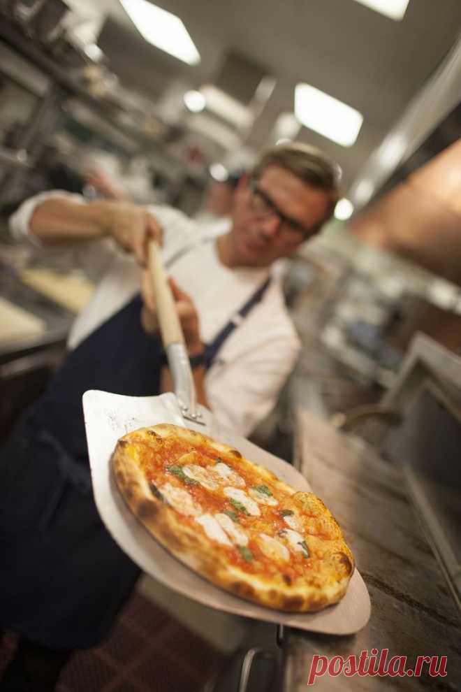 Очень хороший рецепт теста для пиццы прям из пиццерии | Golbis