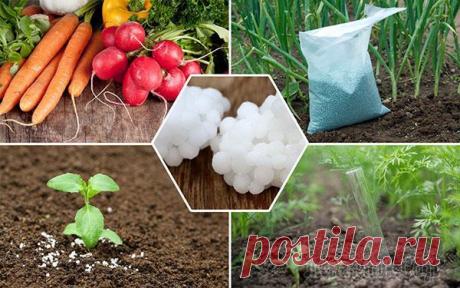 Эффективное применение аммиачной селитры на дачном участке Применение аммиачной селитры в сельском хозяйстве обусловлено продолжительной доступностью азота, что особенно важно для растений с длительным вегетационным периодом. 
Химический компонент отвечает за...