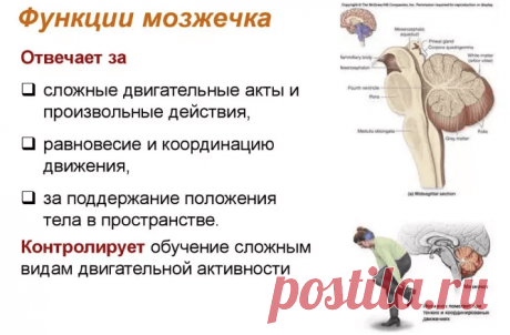 Простые упражнения, которые продлевают молодость! / Будьте здоровы
