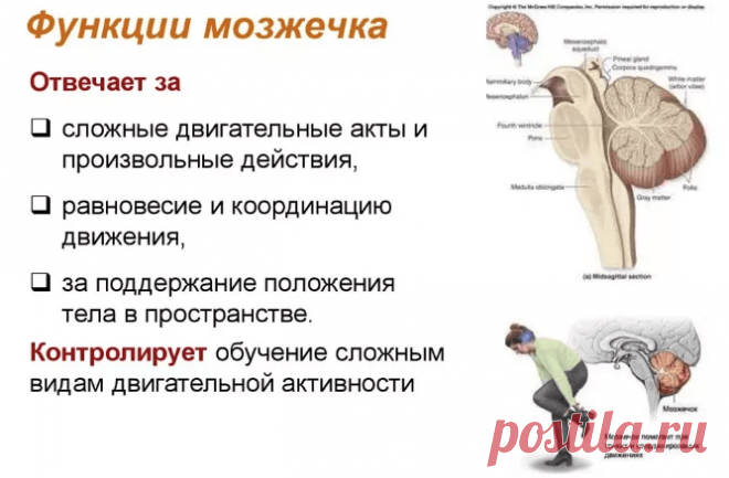 Простые упражнения, которые продлевают молодость! / Будьте здоровы