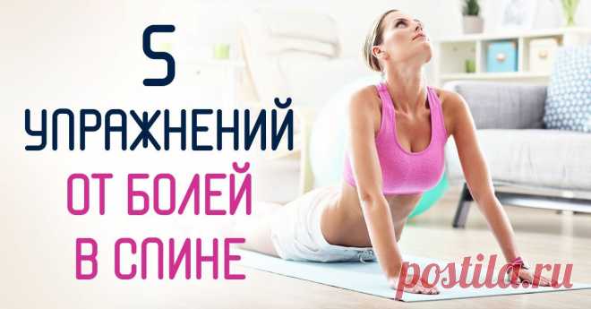 Как избавиться от боли в спине: 5 простых упражнений | Полезные советы на все случаи жизни