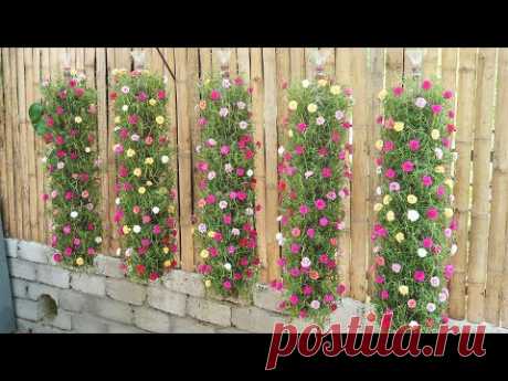 Beautiful DIY vertical hanging garden growing Portulaca (Mossrose) for small spaces Beautiful DIY vertical hanging garden growing Portulaca (Mossrose) for small spaces*More video: #Balcony&Garden #garden #diygarden #gardener #gardening #gard...