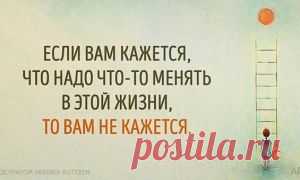 У меня уже три подписчика
