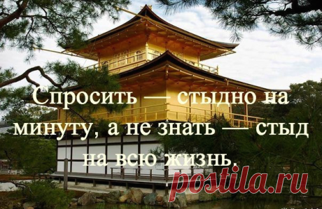Японская мудрость. 35 ключевых фраз

1. Уступай дорогу дуракам и сумасшедшим. 

2. Женщина захочет — сквозь скалу пройдёт. 

3. Не задерживай уходящего, не прогоняй пришедшего. 

4. Быстро — это медленно, но без перерывов. 

5. Лучше быть врагом хорошего человека, чем другом плохого. 

6. Без обыкновенных людей не бывает великих.