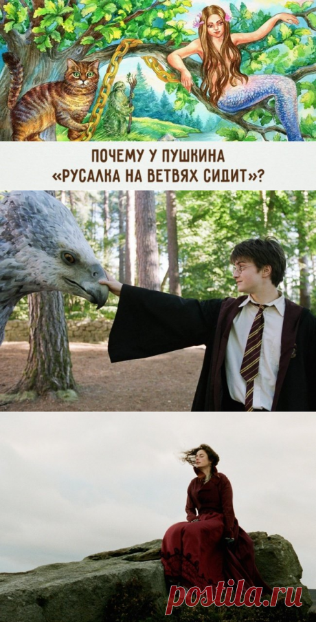 Тайны знаменитых книг.

Многие известные литературные произведения имеют свои секреты и тайные истории. И порой читать о них не менее интересно, чем сами книги.
Предлагаем узнать немного нового о книгах, которые казались нам такими знакомыми.