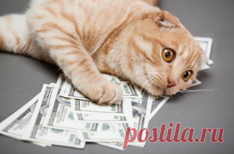 Рассказываю, почему деньги не сделают человека счастливым, сколько бы он не зарабатывал. Честное мнение
Представьте, если через минуту пропадут все деньги мира со всех счетов, а все движимое и недвижимое имущество больше не будет принадлежать их владельцам. Другими словами: представьте, что все материальные ценности, за которыми мы так гонимся, исчезли. Что у вас тогда останется? Какая цель будет...
Читай дальше на сайте. Жми подробнее ➡