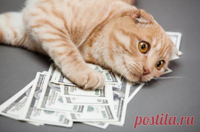 Рассказываю, почему деньги не сделают человека счастливым, сколько бы он не зарабатывал. Честное мнение
Представьте, если через минуту пропадут все деньги мира со всех счетов, а все движимое и недвижимое имущество больше не будет принадлежать их владельцам. Другими словами: представьте, что все материальные ценности, за которыми мы так гонимся, исчезли. Что у вас тогда останется? Какая цель будет...
Читай дальше на сайте. Жми подробнее ➡