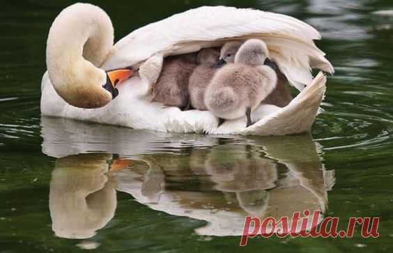(1) Pinterest