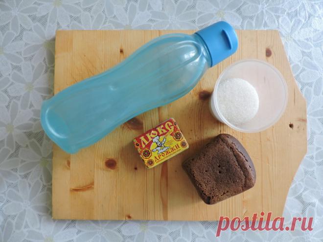 Квас (11 фото)