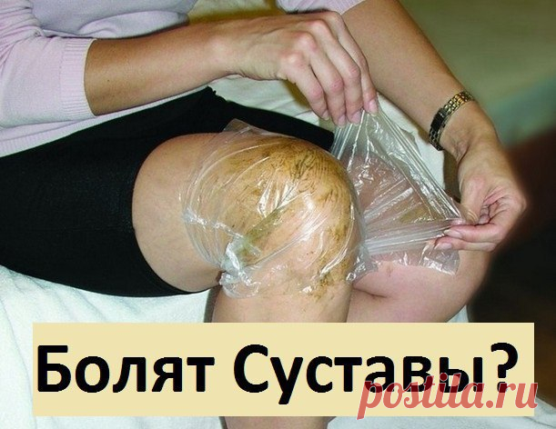 Кулинарная книга - Группы Мой Мир