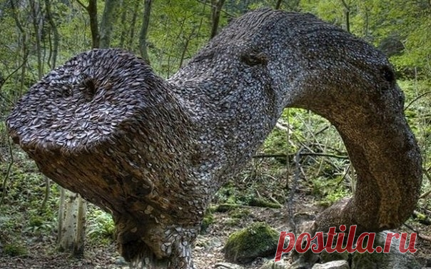 Денежные деревья в Шотландии В Шотландии есть самый настоящий денежный лес, из стволов деревьев торчит множество монеток! Лес называется Peak District. Монетки забивают в срубленные стволы прохожие с помощью камней. Говорят, что если забить монетку в ствол то это принесет удачу, а если загадать желание, то оно...