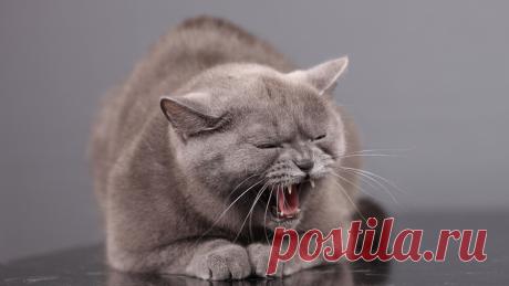 Названы пять признаков скрытого стресса - новости на Здоровье Mail.Ru