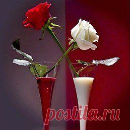 Счастливая: У цветов ... разглядела г л а з а Раньше просто ... срывала в букет Даже если б у ш у е т гроза У меня к ней ... претензий нет