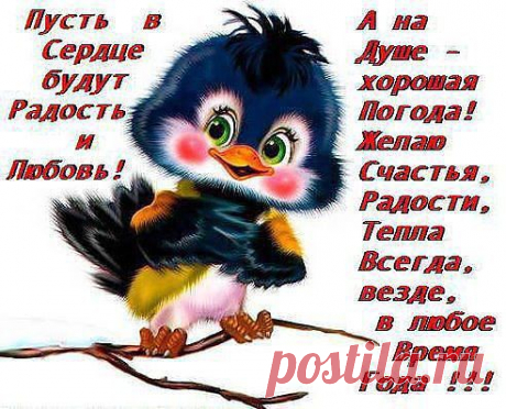 Одноклассники