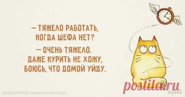 20 освежающих открыток