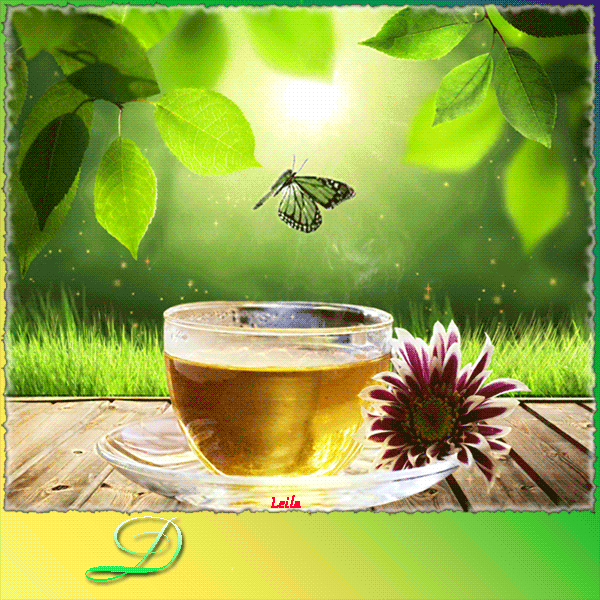 070b0fdd5nh6ncuudos6sha02ff0e5dl.gif (600×600)