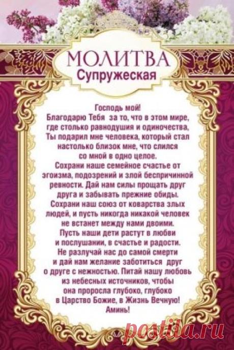 (4) Одноклассники