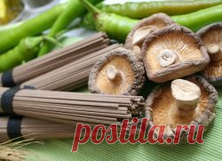 Фунготерапия – лечение грибами.