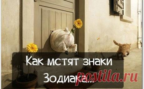 Как мстят знаки «Зодиака»