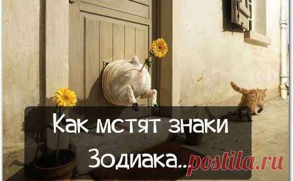 Как мстят знаки «Зодиака»