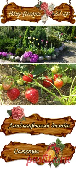 Мир флоры - Питомник Мир Флоры