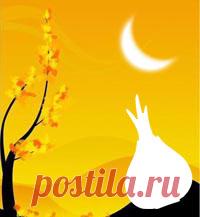 Лунный календарь огородника и садовода на Февраль 2020 года. Благоприятные дни для посадки растений в феврале 2020 — Мир космоса