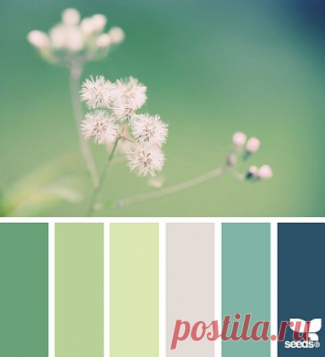 Design Seeds® | find your palette