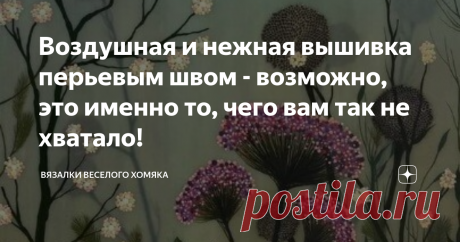 Воздушная и нежная вышивка перьевым швом - возможно, это именно то, чего вам так не хватало! Статья автора «Вязалки Веселого Хомяка» в Дзене ✍: Итак, позвольте нам начать с того, что мы создали этот прием не из воздуха.