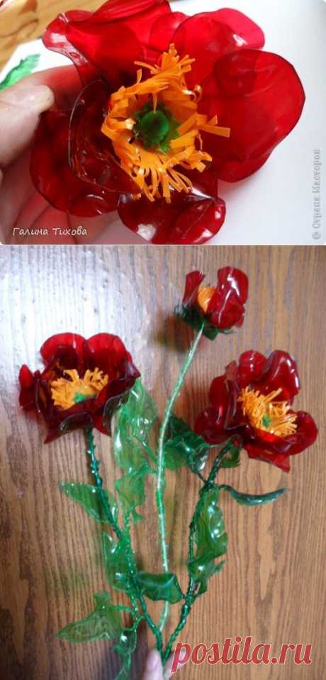Маки из пластиковых бутылок