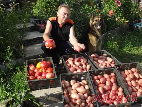 ПОДКОРМКИ ОТ ИГОРЯ ЛЯДОВА
