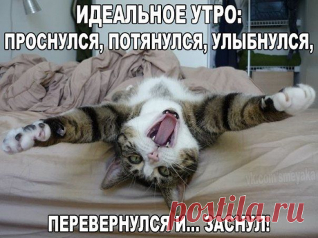 Чёткие приколы | ВКонтакте