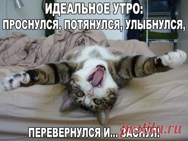 Чёткие приколы | ВКонтакте