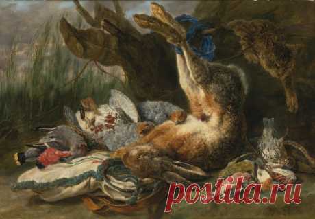 Ян Фит (1611-1661, фламандец)