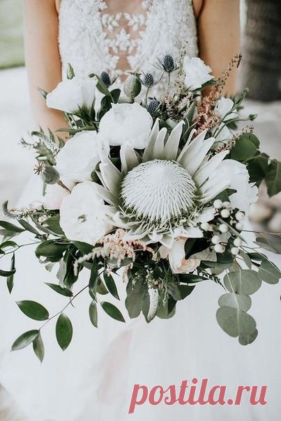 Протея в букете невесты: ТОП-9 идей ❤