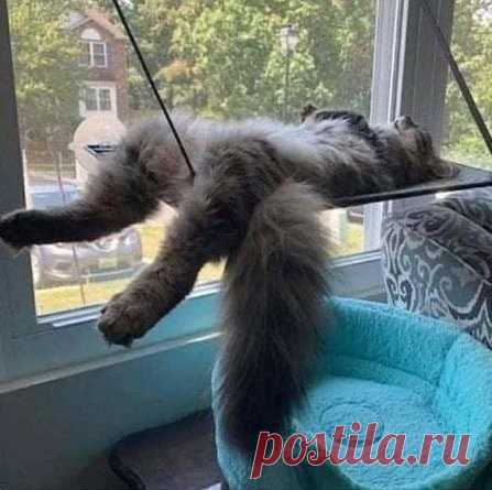 Когда целый день ничего не делал и жутко устал