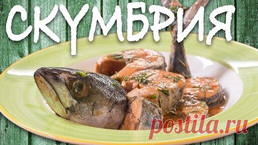 Божественная СКУМБРИЯ. От этого рецепта вы сойдете с ума!!! | Шеф-повар Василий Емельяненко | Дзен