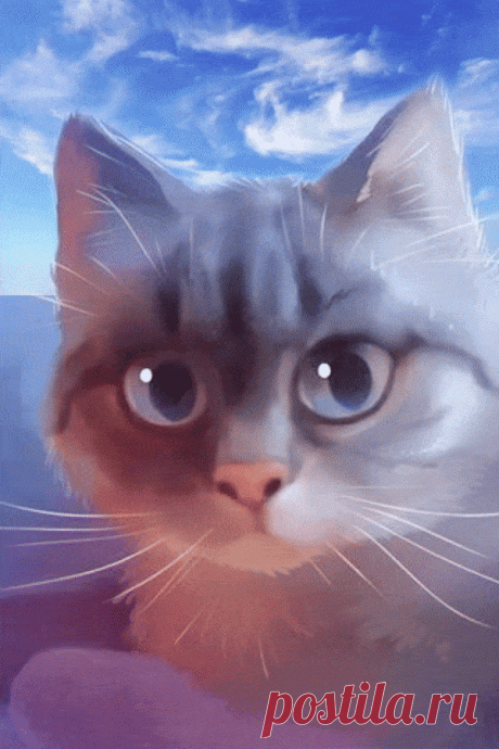 Котик