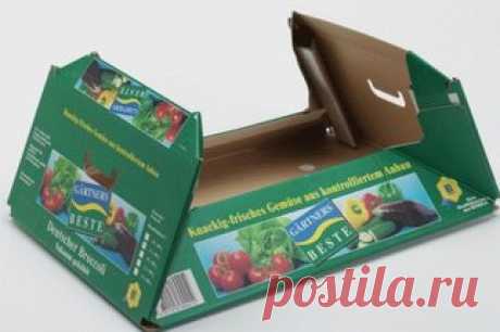 Packaging Design | IPS Advice