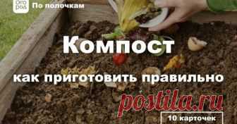 Компост – как правильно и быстро приготовить