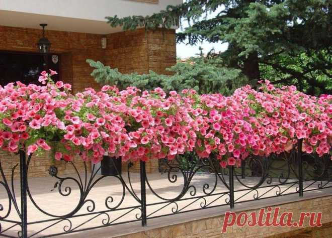 Идеи для дачи