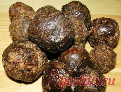 Прополис - лучшее средство от всех болезней..