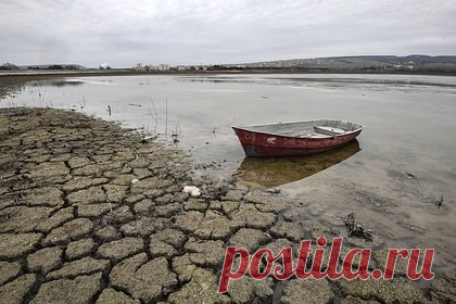 Жителям нескольких российских регионов пообещали засуху