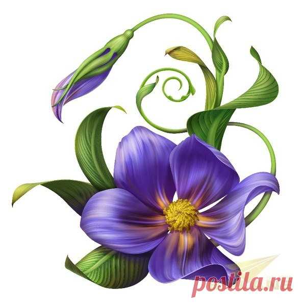 (99) Одноклассники