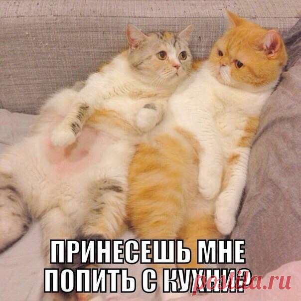 Наталья Петрова