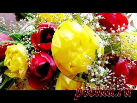 ВИДИО-ПОЗДРАВЛЕНИЯ / Atavi - менеджер закладок