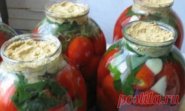 Свекруха моя - найкраща господиня на усе село! Квашені помідори як в бочці вона готує по-осoбливому! Цeй рецепт немає рівних! Усі подруги вже готують тільки так! Свекруха моя - найкраща господиня на усе село! Квашені помідори як в бочці вона готує по-особливому! Цей рецепт немає рівних! Усі подруги вже готують тільки так!

Помідори і огірки – наше все, а в квашеному вигляді вони не просто набувають абсолютно нового, досконалого смаку, але і зберігаються до