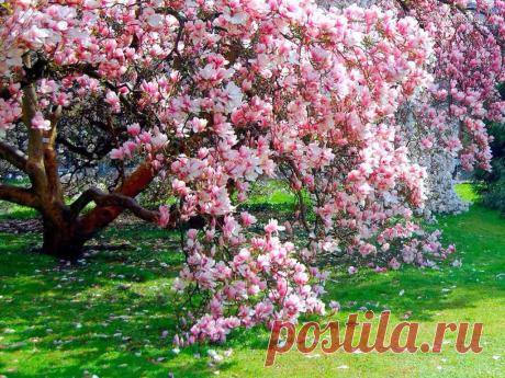 Мой Мир@Mail.Ru