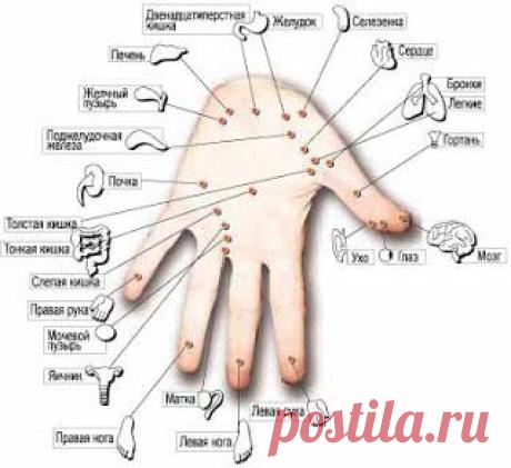 Всё в наших руках: Ценная информация.ос