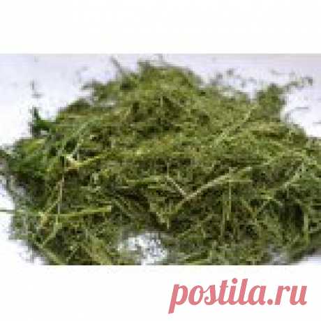 Сушка зелени в микроволновке Кулинарный рецепт
