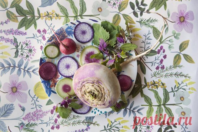 Как модные натюрморты Лючии Файнзильбер связаны с темой иммиграции | Радости жизни | Новости | VOGUE